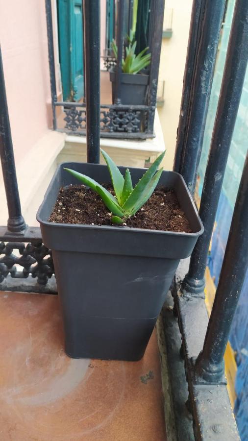 Pensión Manoli Bilbau Exterior foto